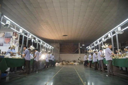 光影新境，幸福为灯 艾摩灯3.0极简轻奢展厅与大师设计的共鸣